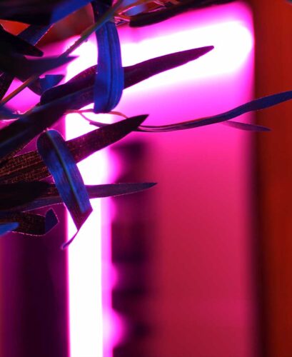 Budgetfreundliche cheap shisha bars in Hamburg mit top Qualität