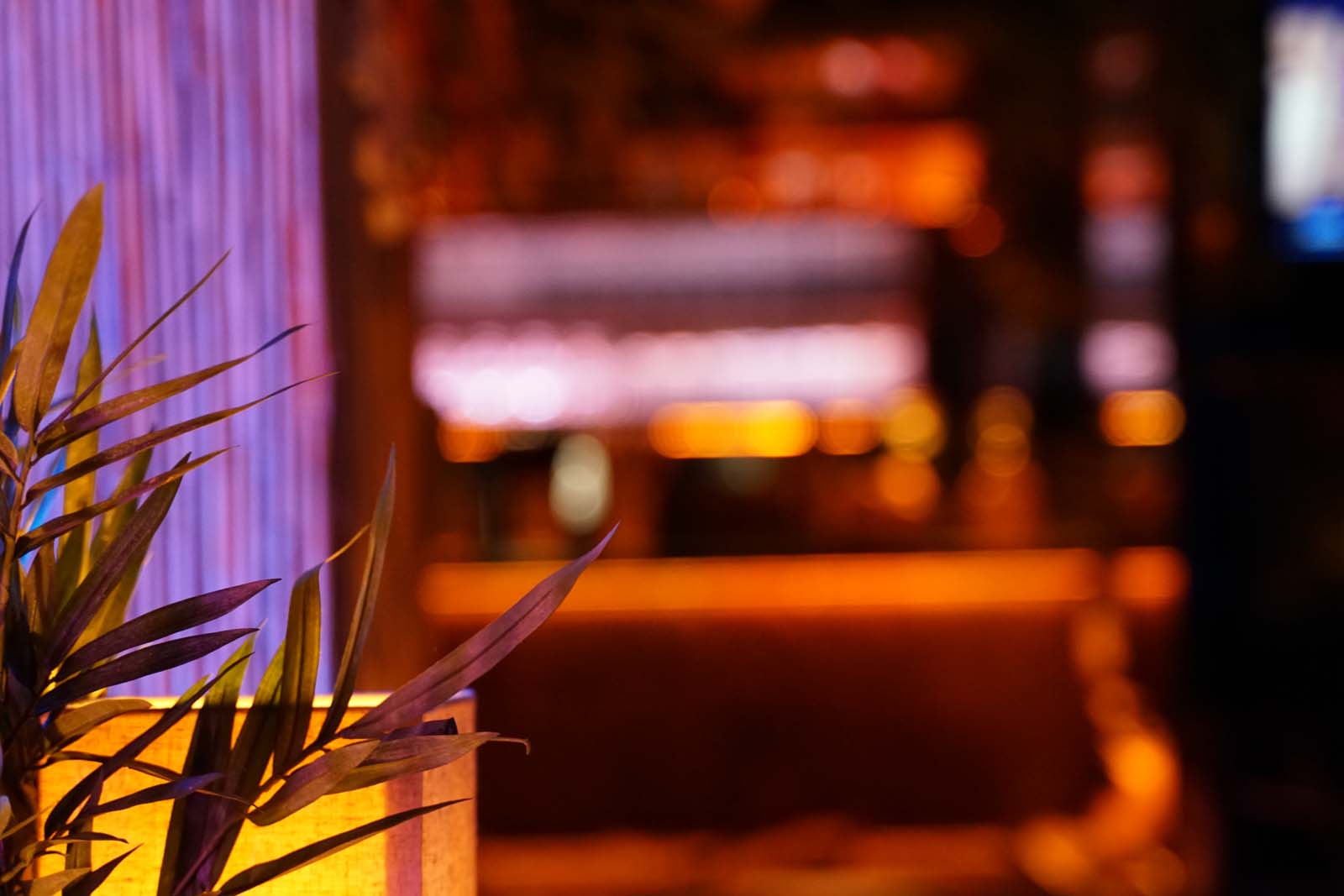 best hookah bar Jungfernstieg